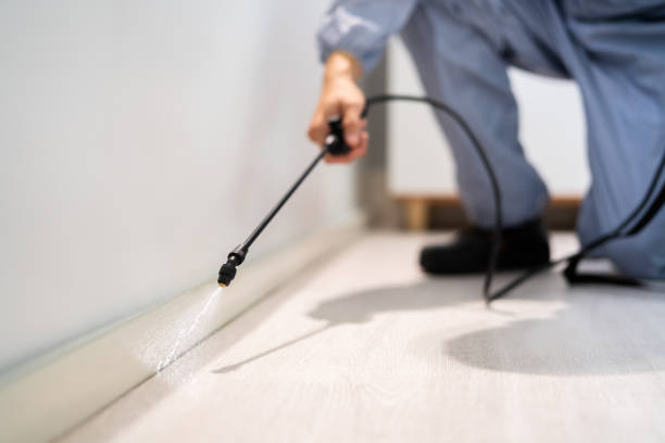 Licensed Mosquito Control service in Pine Canyon, CA - Nex Pest Control
