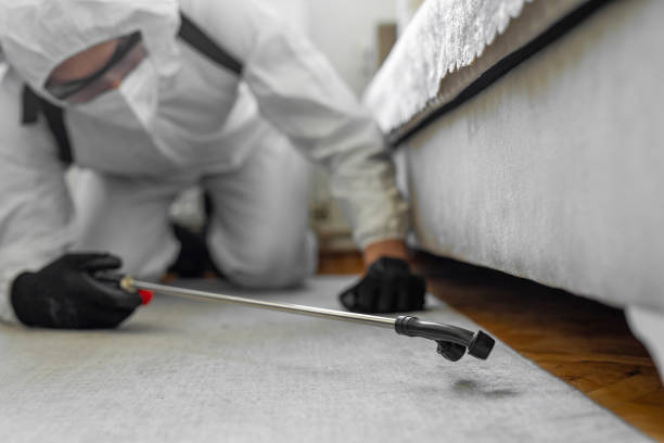 Professional Mosquito Control technician working in Pine Canyon, CA