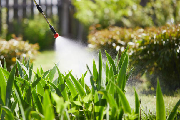 24/7 Emergency Mosquito Control experts in Pine Canyon, CA