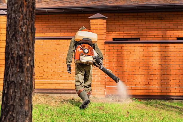 Top rated local Mosquito Control specialists in Pine Canyon, CA